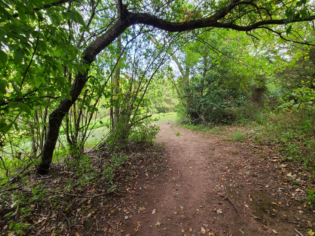 There’s A Ghost In This&nbsp;House