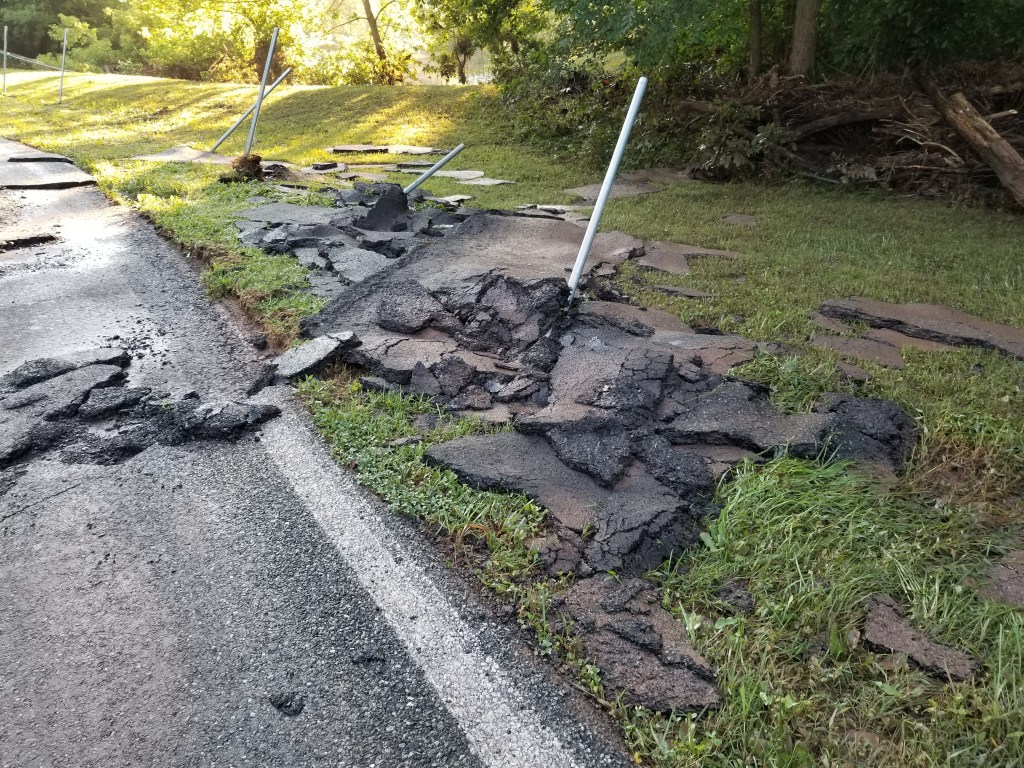 Mosquitos On The&nbsp;Arc