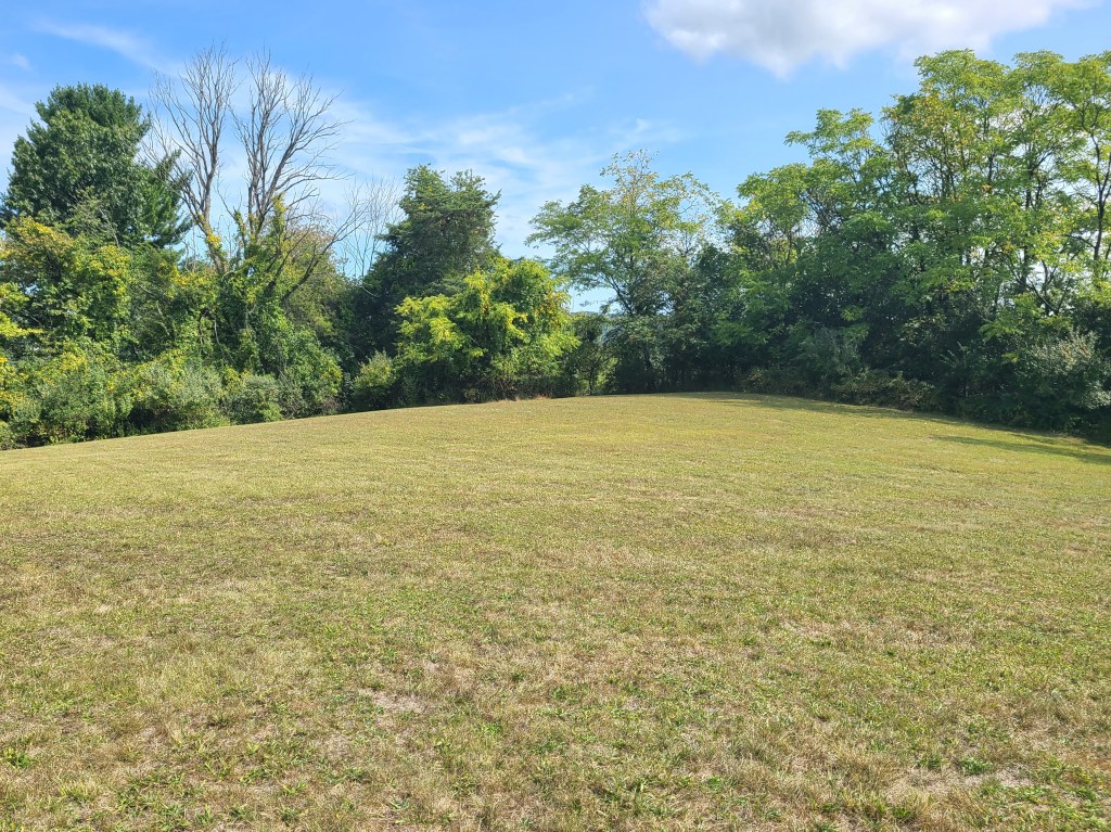 Fields of Forgotten&nbsp;Blood