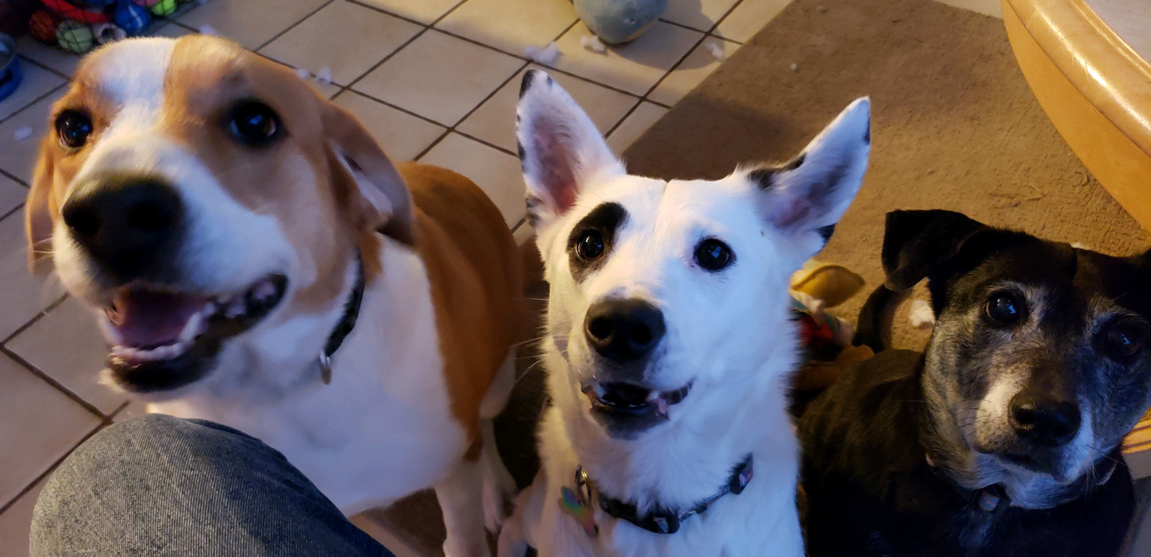Ode To My Goober Girl