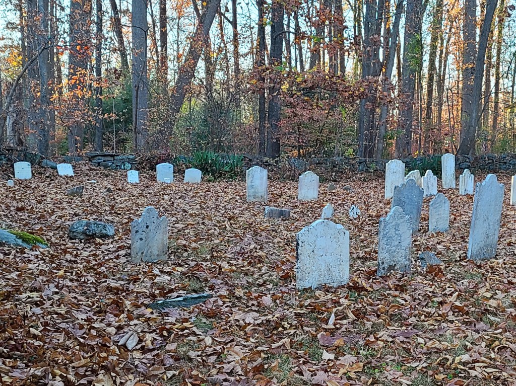 Lifelines: Mennonite Church Cemetery at Herstine&nbsp;Chapel