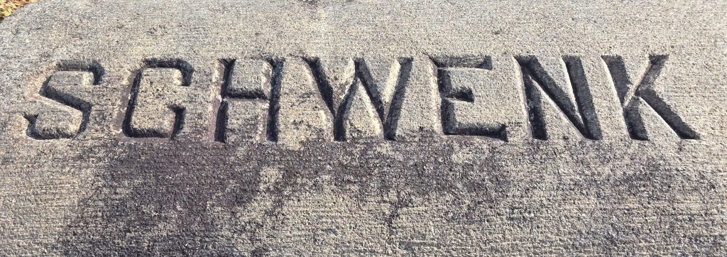 Beneath the Sycamore&nbsp;Tree