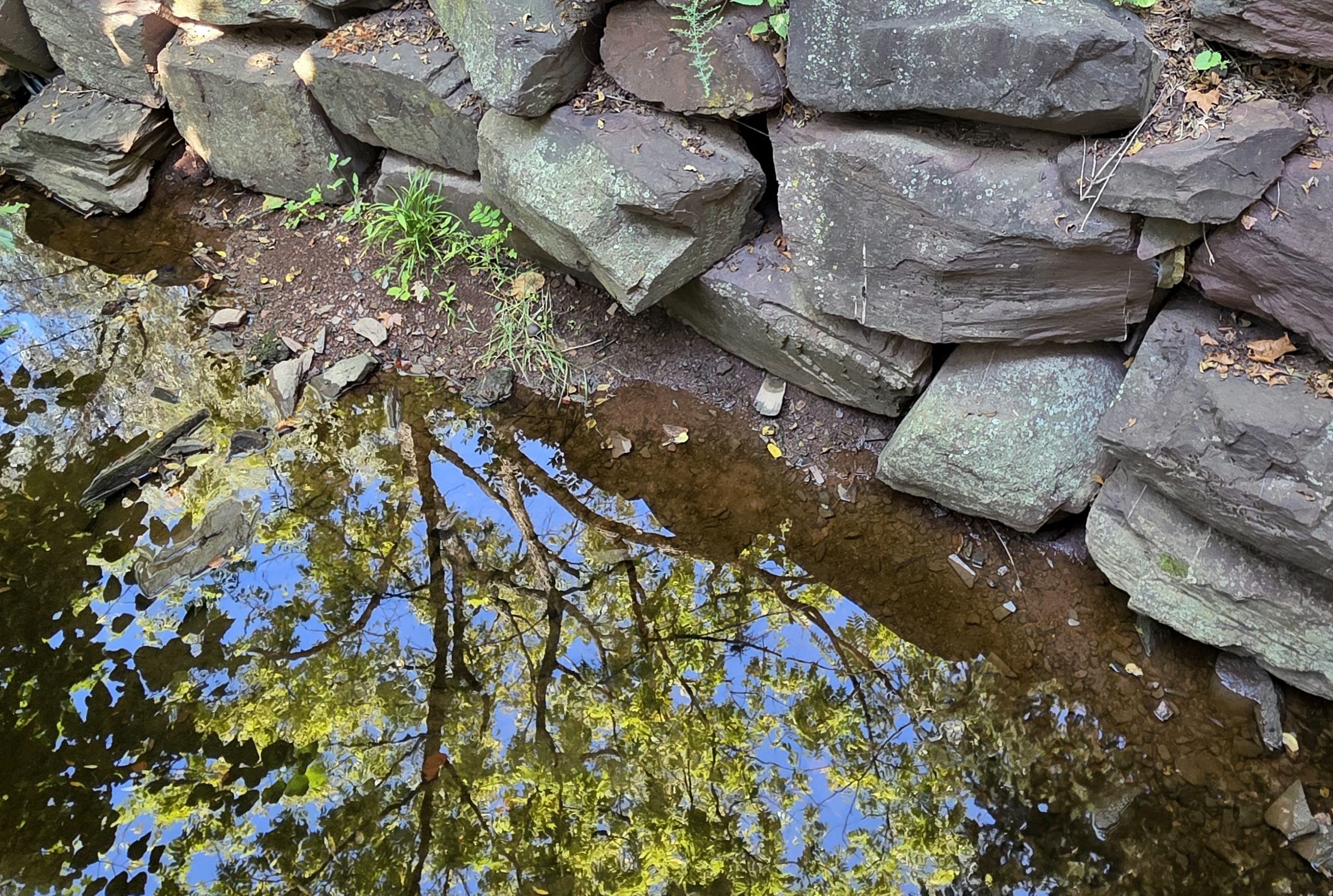 Still Waters